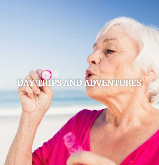 day trips and adventures Aravilla Sarasota senior living